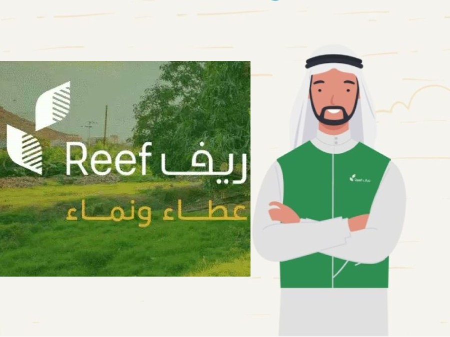 شروط دعم ريف للعاطلين 1445 وطريقة التسجيل لأول مرة