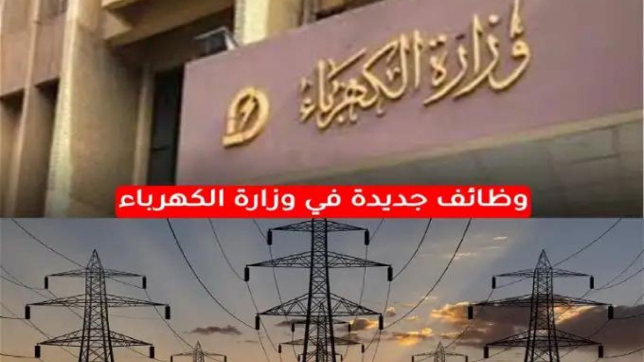 شروط وظائف وزارة الكهرباء 2023