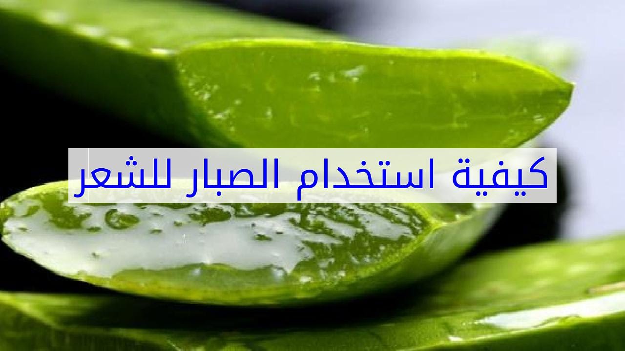 فوائد الصبار للبشرة والشعر