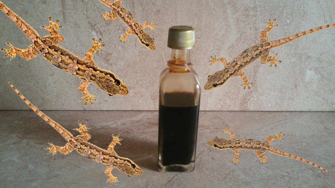 طرد البرص من المنزل نهائيا 11 2