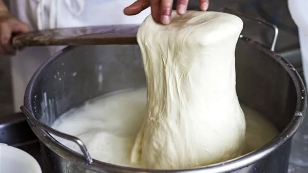 طريقة عمل الجبنة الموزاريلا