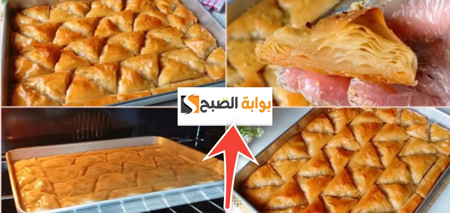 طريقة عمل الجلاش