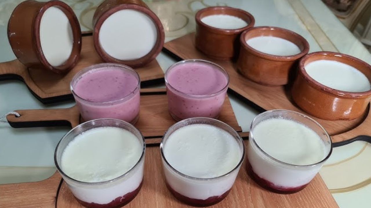 طريقة عمل الزبادي البيتي