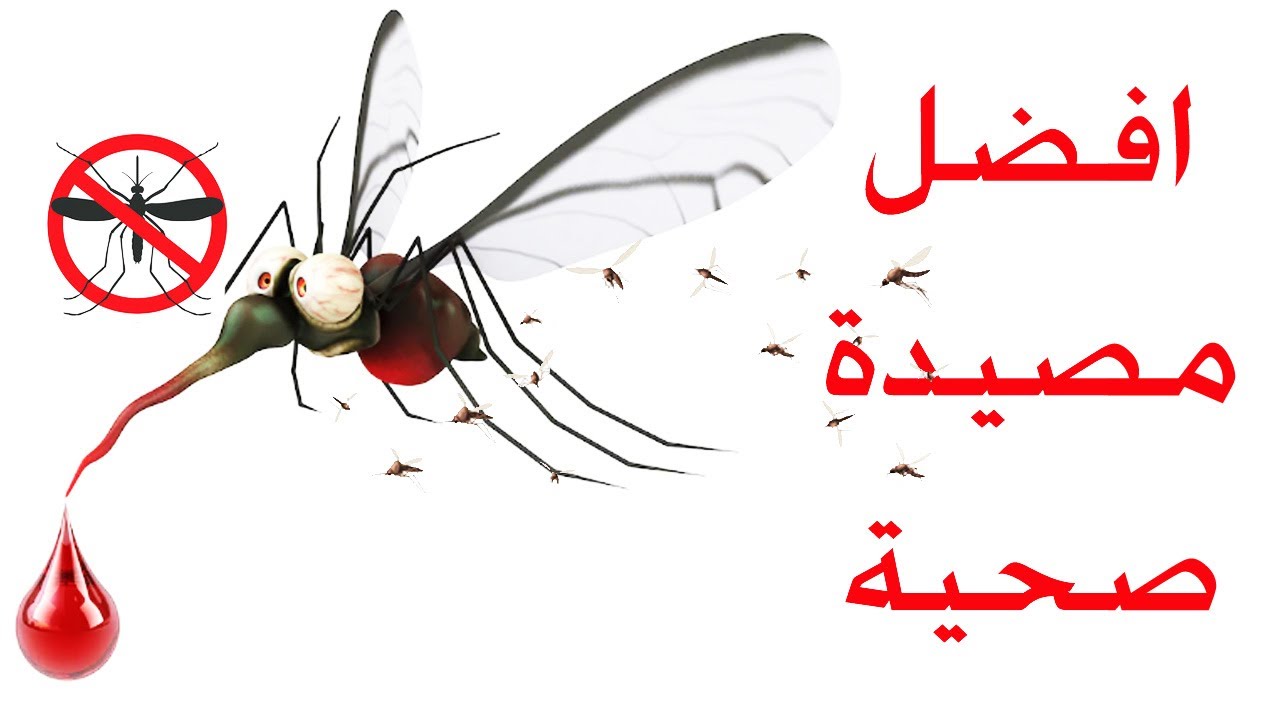 طريقة عمل مصيدة الناموس