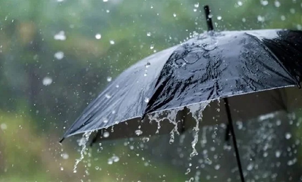 تعطيل الدراسة غداً في محافظة الإسكندرية