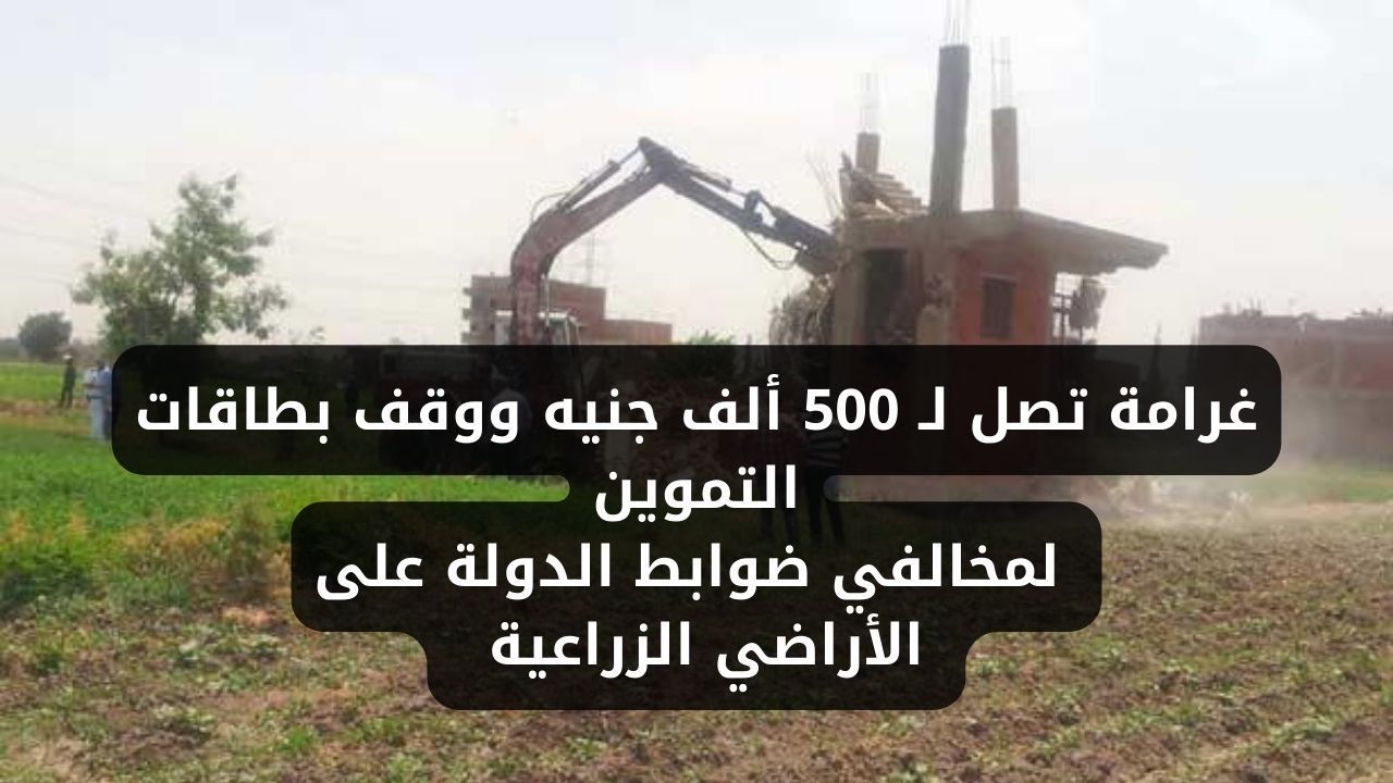 غرامة تصل لـ 500 ألف جنيه ووقف بطاقات التموين لمخالفي ضوابط الدولة على الأراضي الزراعية