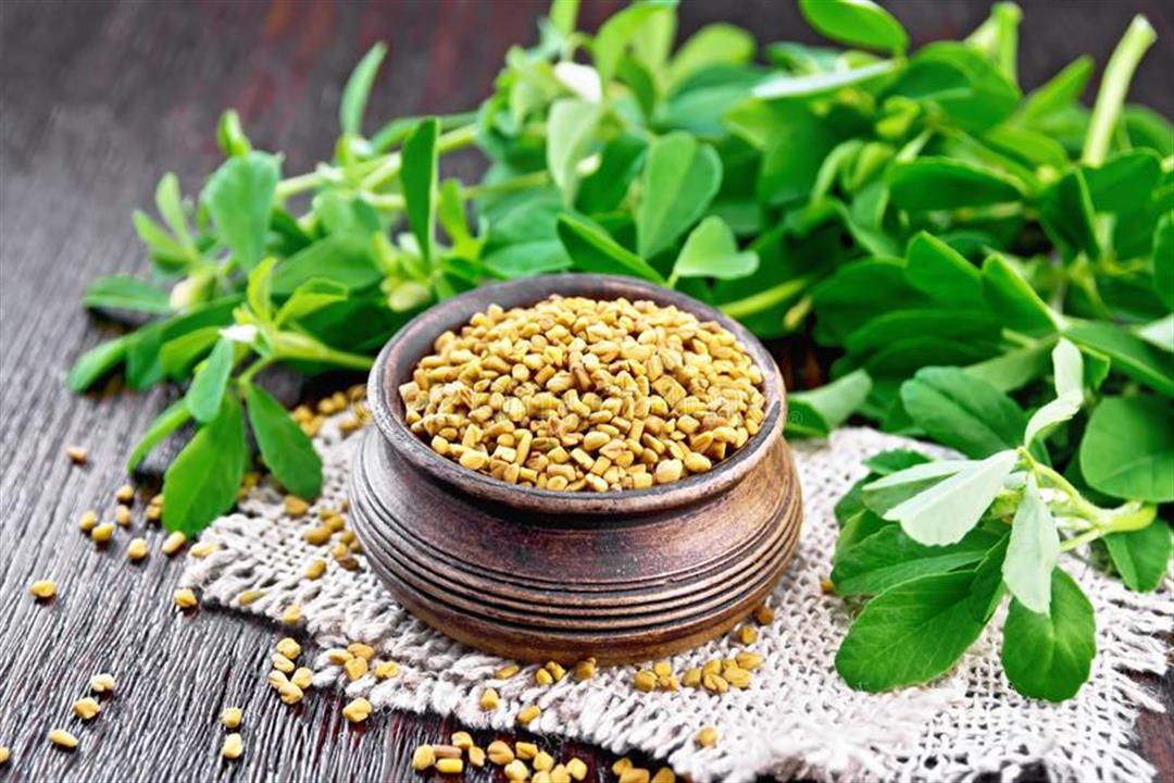 فوائد مشروب الحلبة المغلي