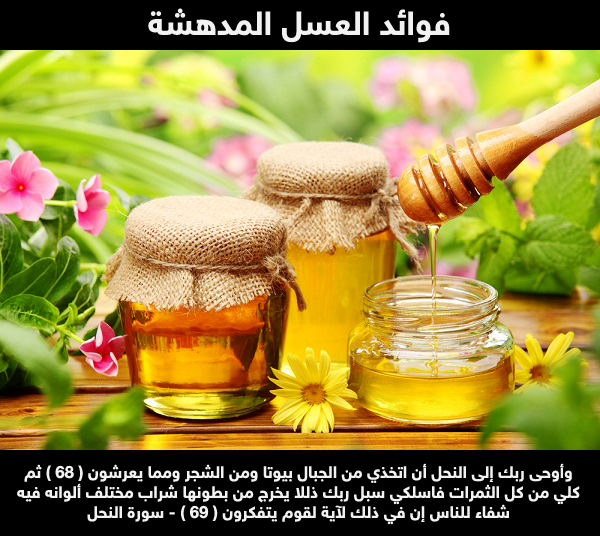 أهم فوائد عسل النحل