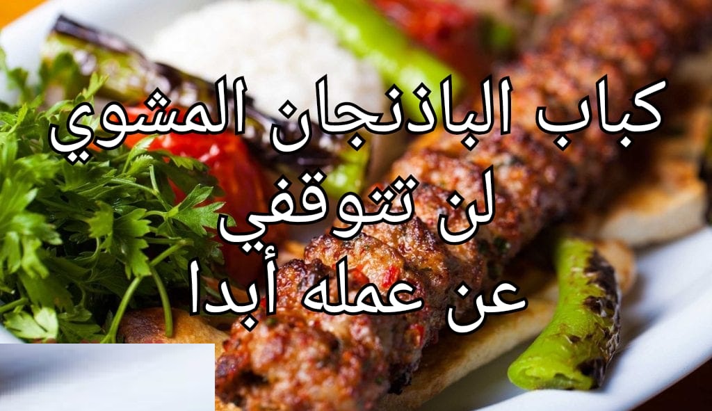 كباب الباذنجان المشوي