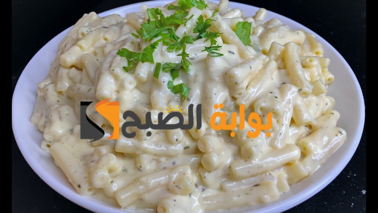 طعم حكاية بمكونات بسيطة طريقة تحضير وعمل مكرونة الصوص الابيض في المنزل ومكوناتها وسر الوصفة