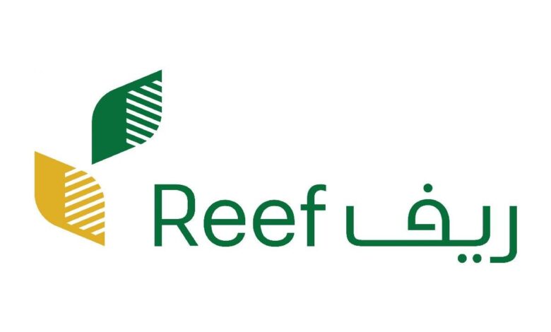الدعم الريفي