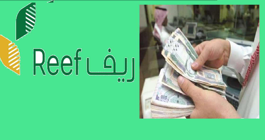 متى ينزل دعم ريف للدفعة الجديدة؟ طريقة الاستعلام وشروط الاستحقاق