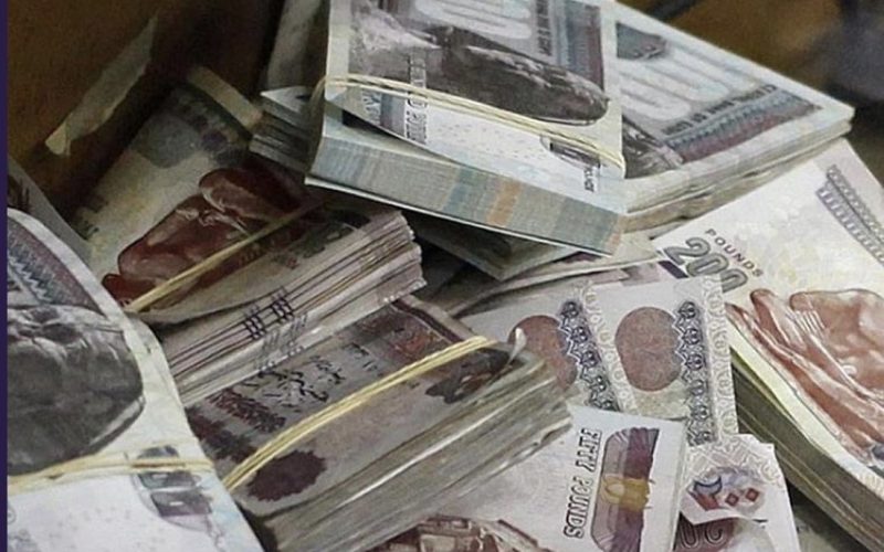 موعد صرف مرتبات نوفمبر 2023 رسميًا