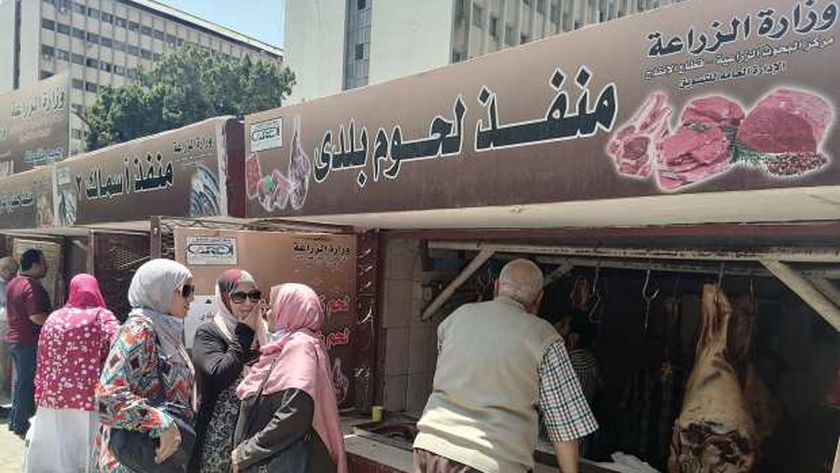وزارة 1