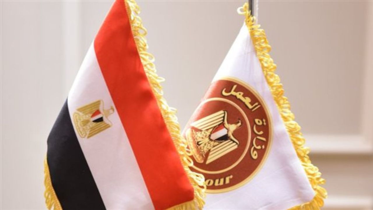 وزارة العمل المصرية