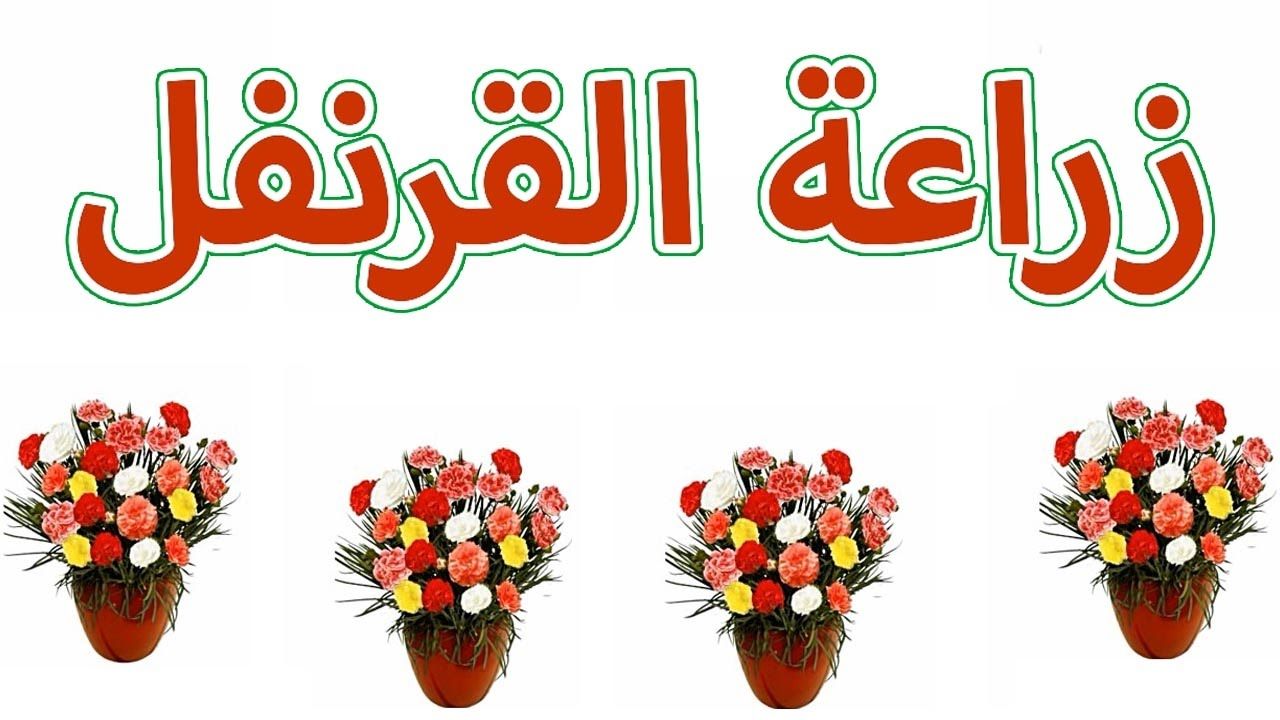 04fe00437adef653904aca6e74e369d7