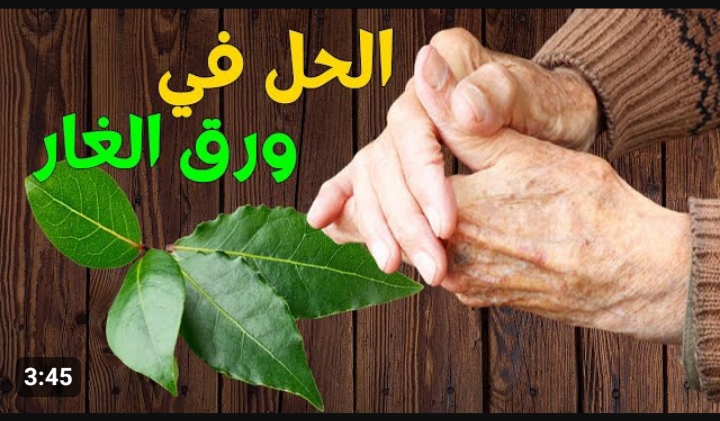 ورقة الغار