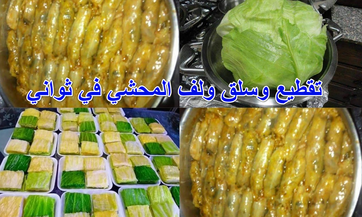 طريقة تقطيع الكرنب بسرعه