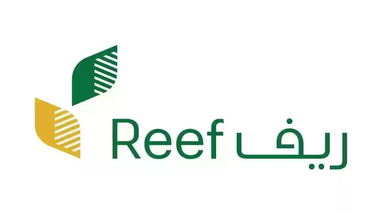 موعد صرف دعم الريف لشهر يناير 2024 وخطوات الاعتراض على الدعم إلكترونيا