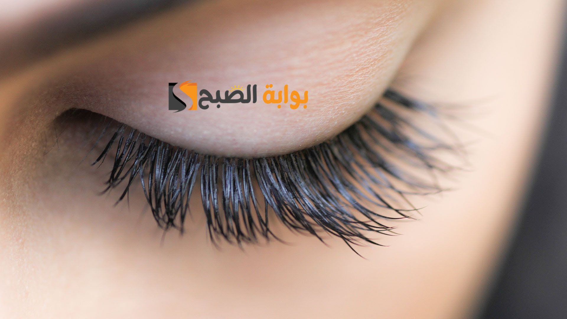 مش هتاخد منك وقت كتير.. وصفة طبيعية تعمل على تطويل الرموش وزيادة كثافتها في أسرع وقت "عيونك هتبقى عيون عزلان "