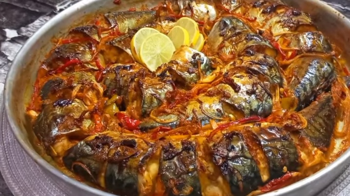 سمك ماكريل