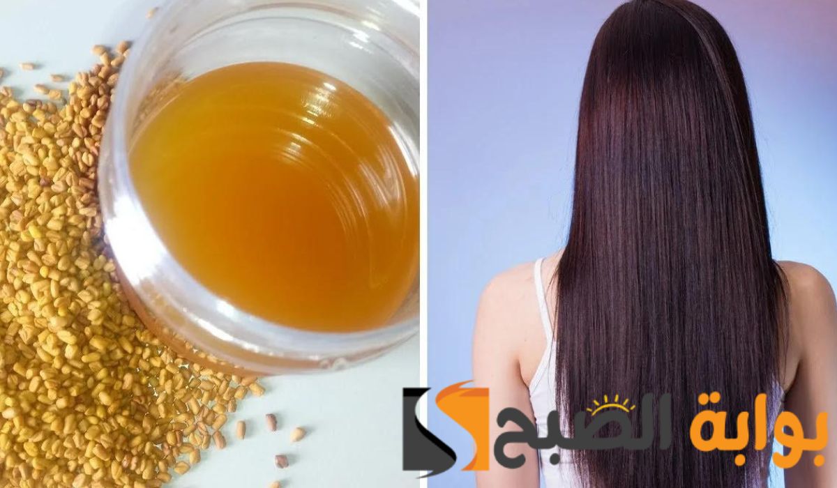 العلاج السحري لمشاكل الشعر... وصفة بذور الحلبة للشعر وأفضل طريقة لاستخدامها "هتطول شعرك وتحارب التساقط"