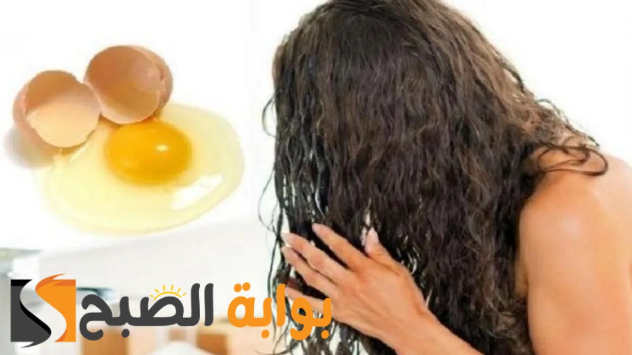افضل ماسكات البيض للشعر الجاف وفوائده