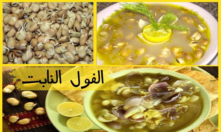 IMG 20231206 WA0007