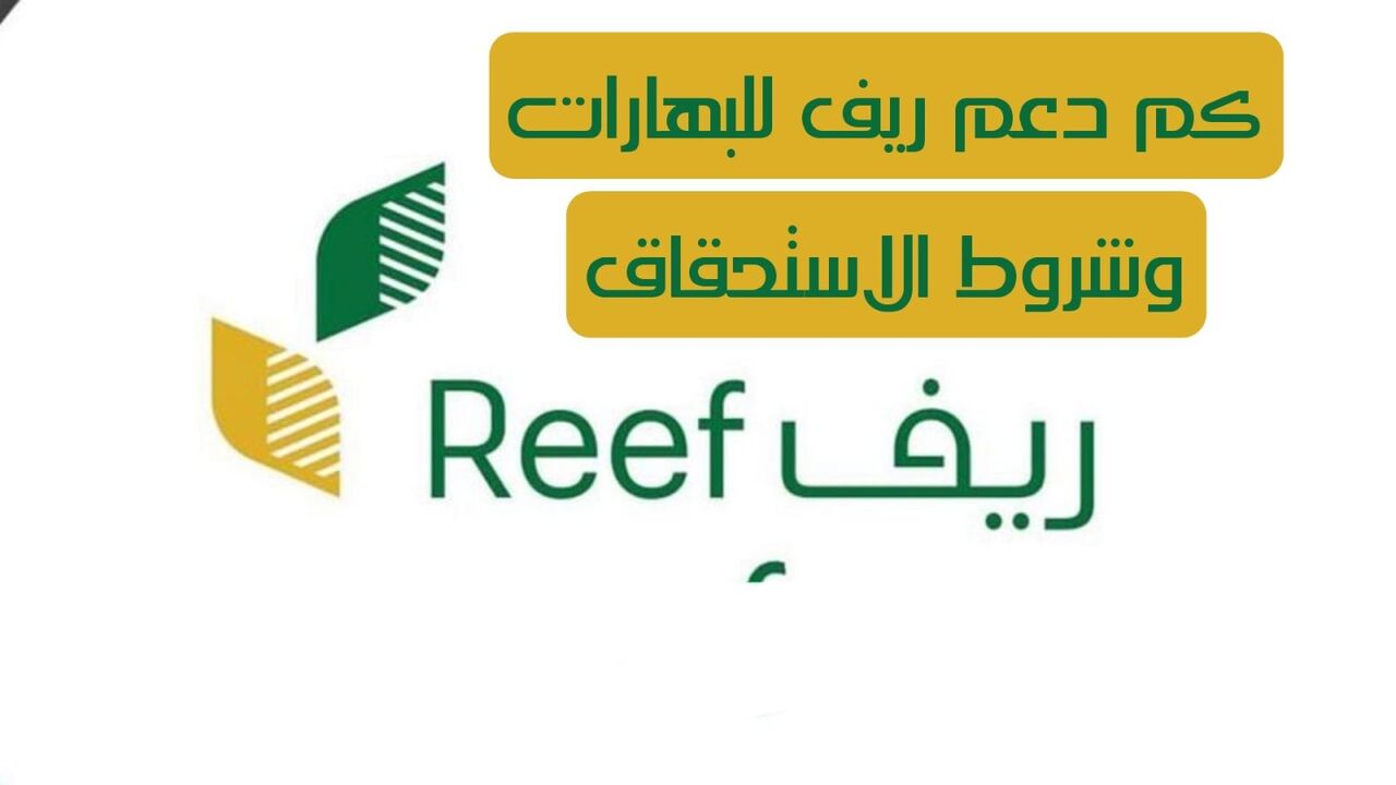 كيفية تقديم طلب للحصول على دعم ريف