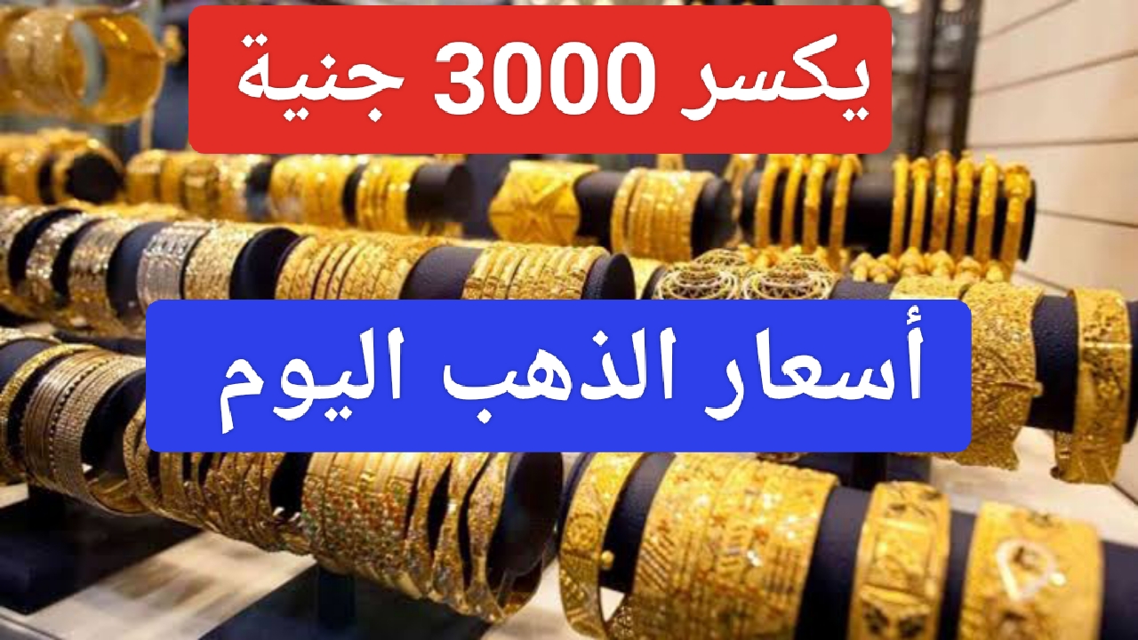 IMG ٢٠٢٣١٢٠٢ ٠٢٤٣٠٨