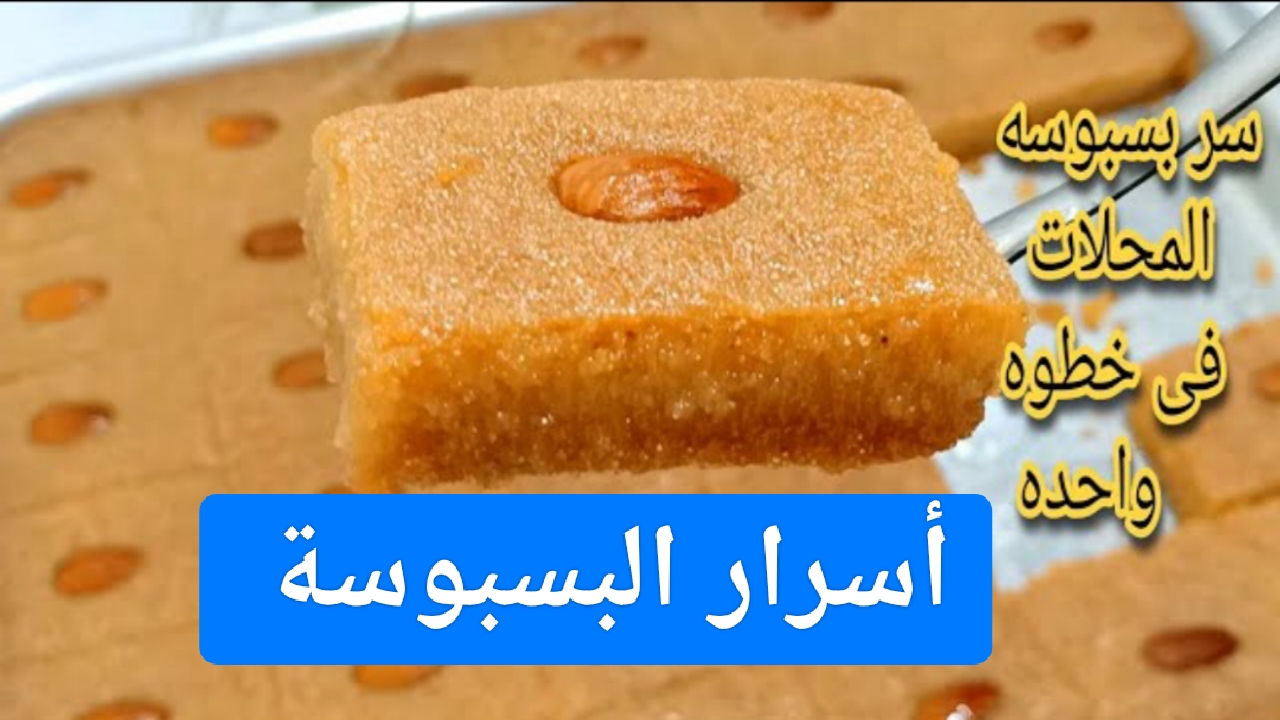 IMG ٢٠٢٣١٢٠٢ ٠٢٥٩٠٩