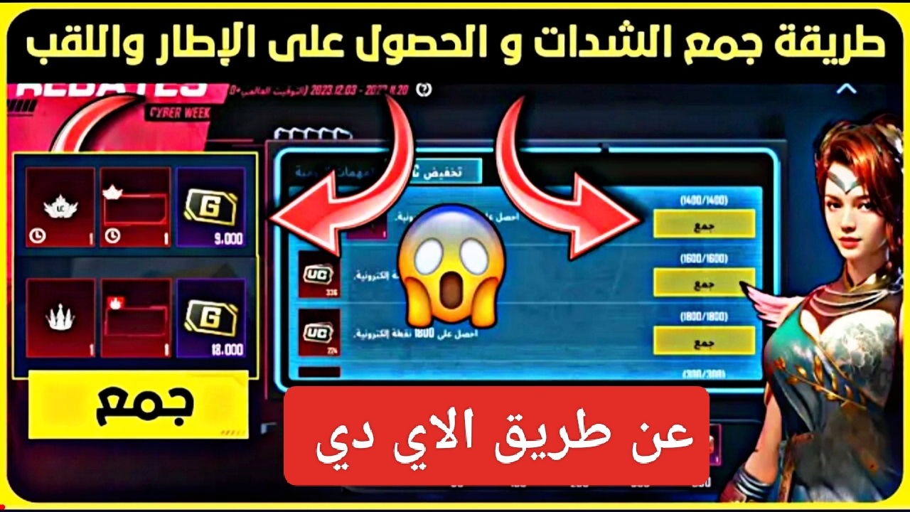 IMG ٢٠٢٣١٢٠٣ ١٢٤٣١٢