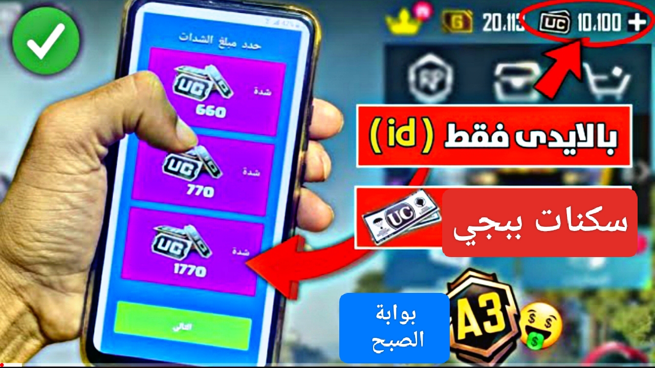 IMG ٢٠٢٣١٢٠٣ ١٧٢٦٣٥