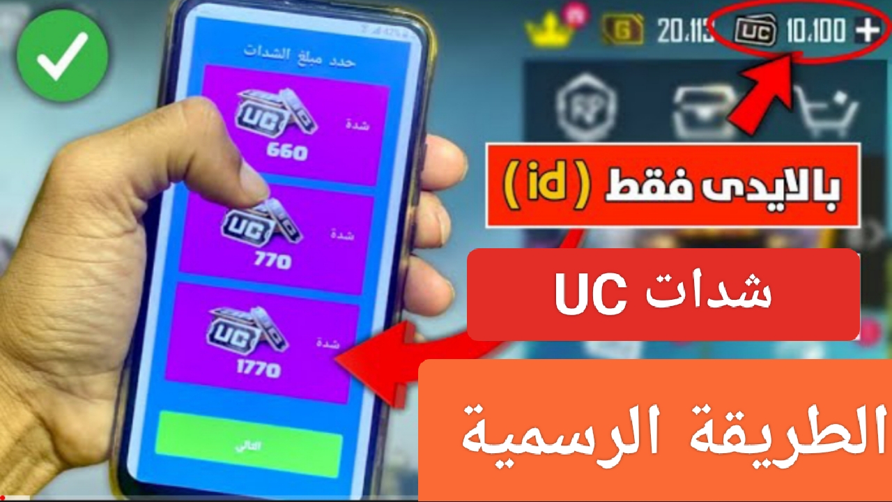 IMG ٢٠٢٣١٢١١ ١٣٤٥٢٥