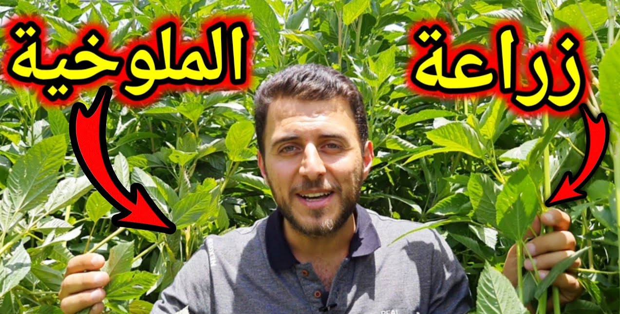 IMG ٢٠٢٣١٢١٥ ١٨٣٤٤٨