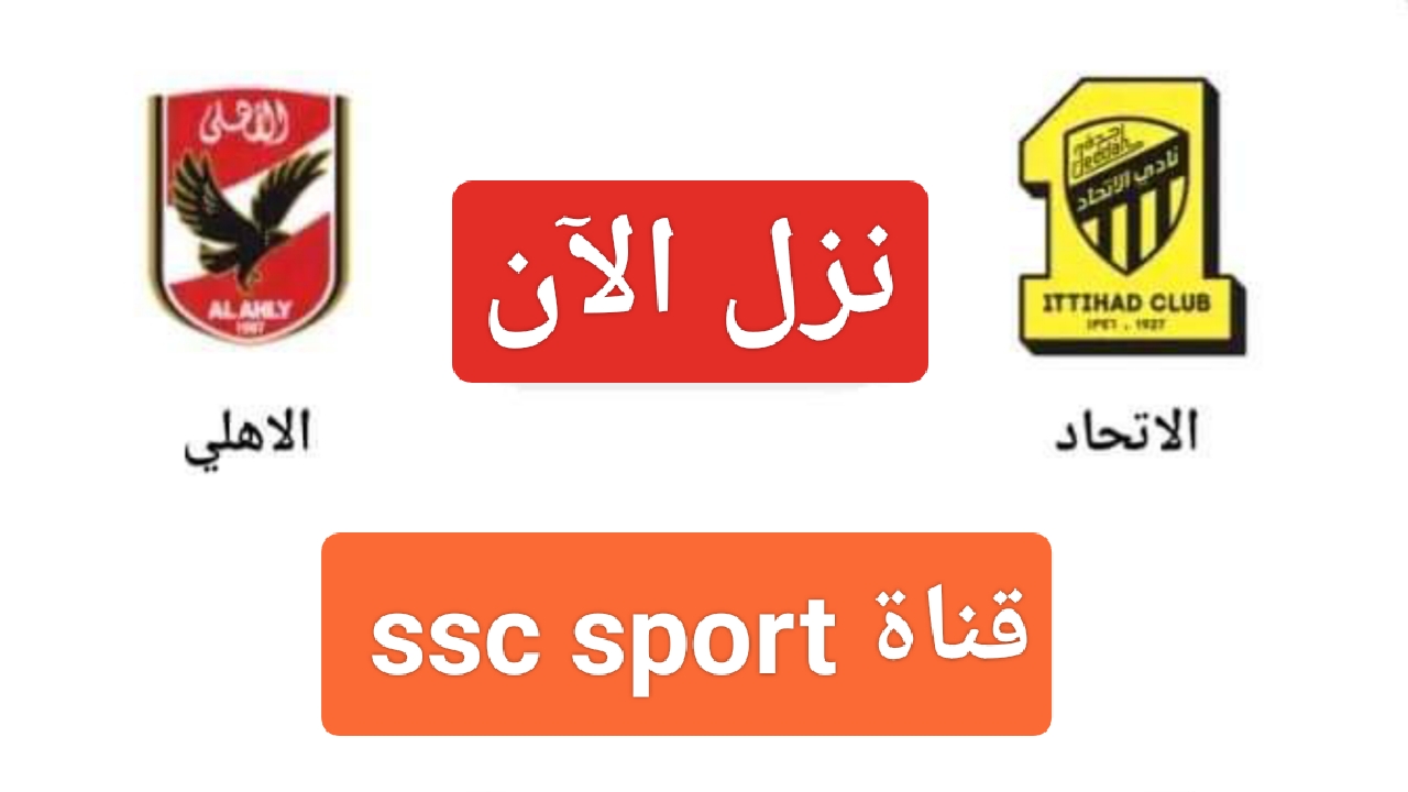 IMG ٢٠٢٣١٢١٥ ١٩٥٩٣١
