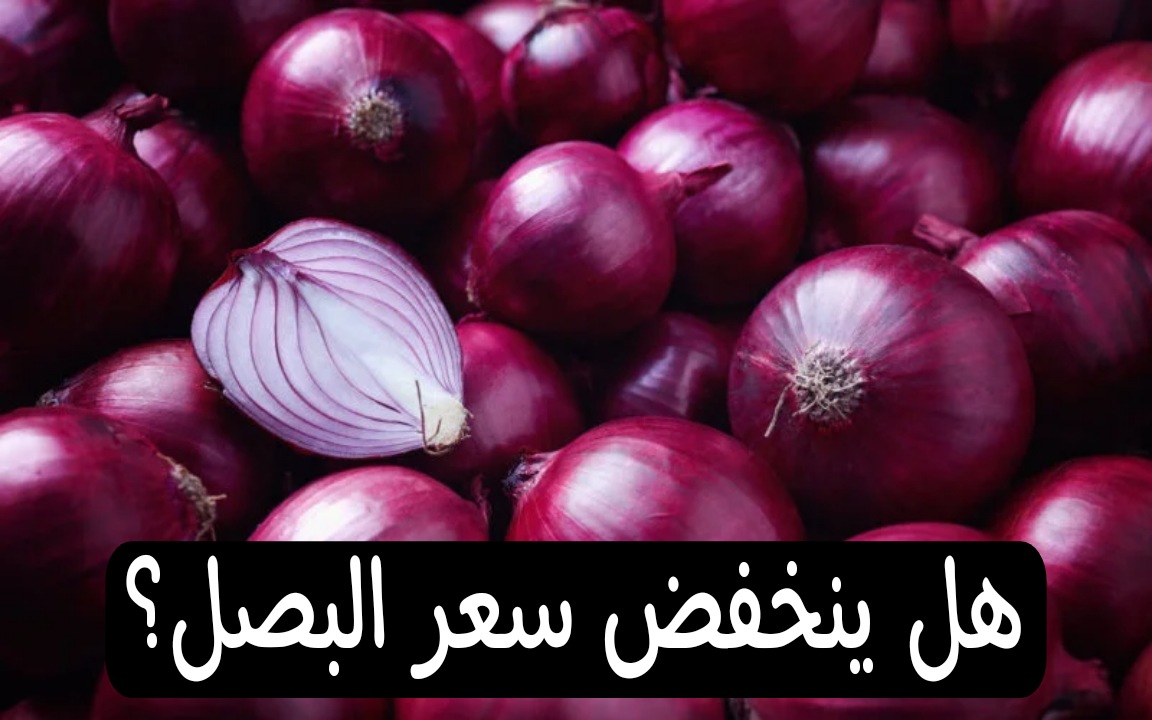 هل ينخفض سعر البصل؟