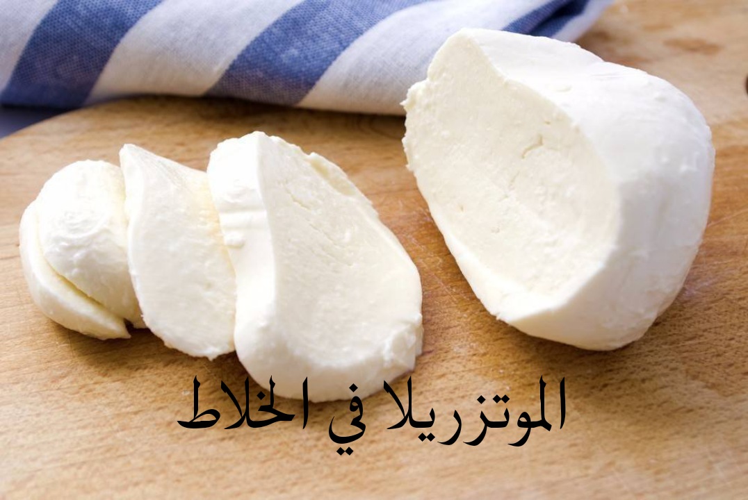 طريقة عمل الجبنة الموتزريلا في الخلاط