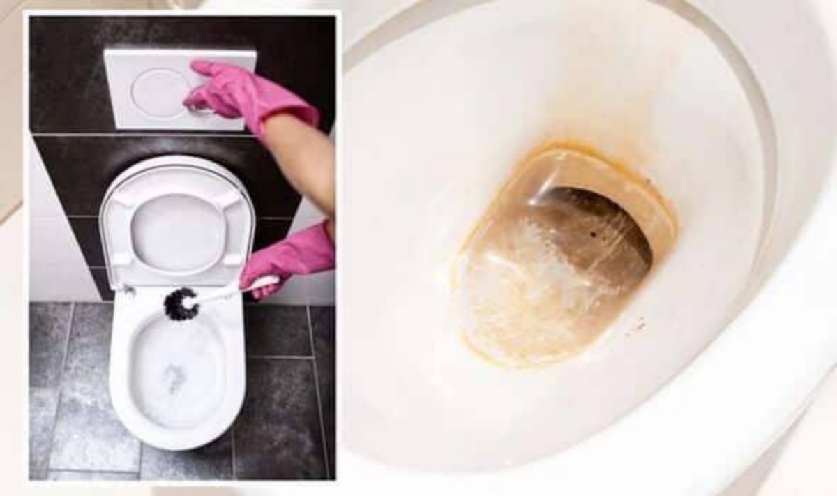 طرق تنظيف قاعدة الحمام