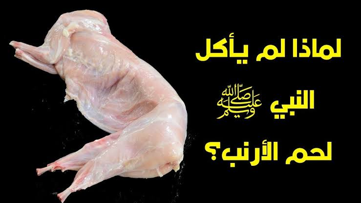 سر لم يخطر على بال مخلوق.. لماذا لم يتناول النبي صلى الله عليه وسلم لحم الأرنب... 90% لا يعرفوا المعلومة !!