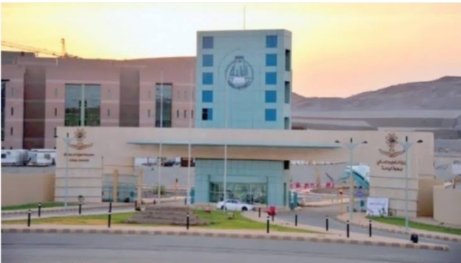 شروط التقديم في وظائف جامعة الباحة