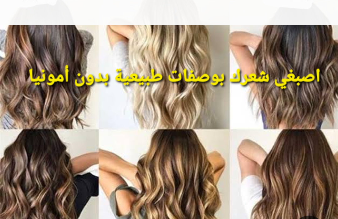 Screenshot ٢٠٢٣١٢٢٩ ١٦٥٠٢٤ Gallery