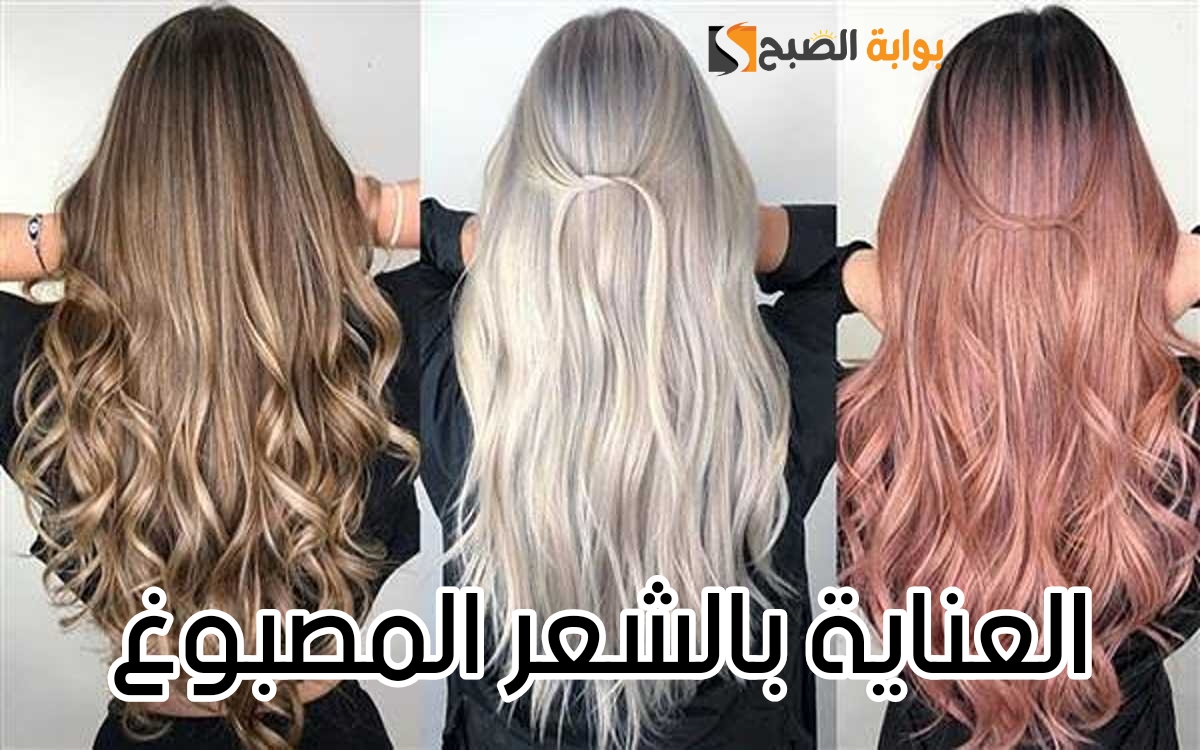 T401703493353350