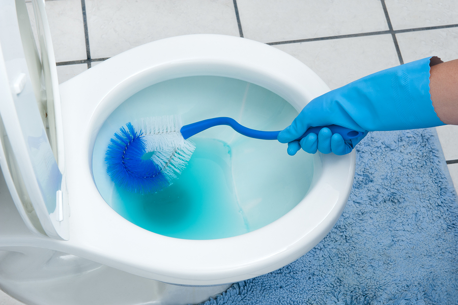 bigstock Cleaning Toilet 11710766