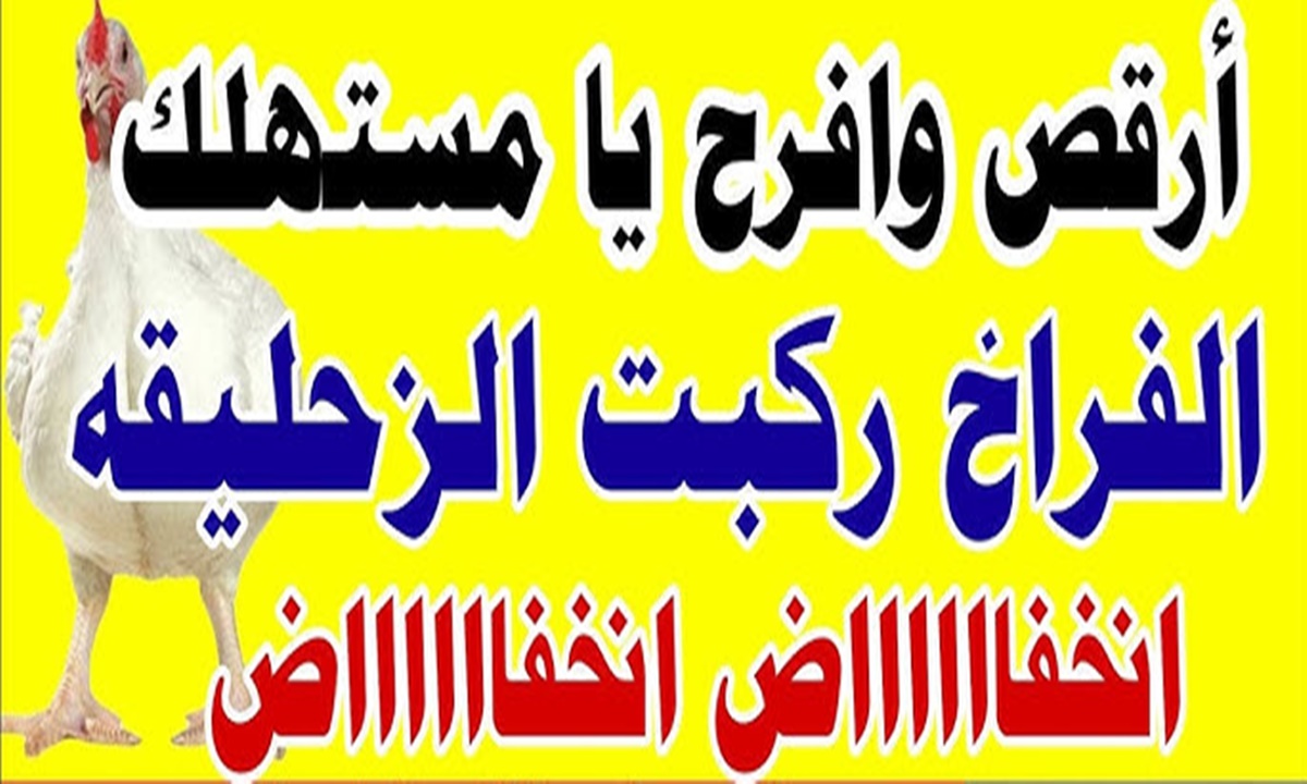 انخفاض سعر الدواجن في مصر