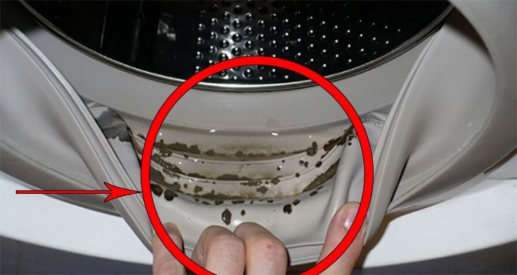 how to remove dangerous mold and unpleasant odors from your washing machine with 2 ingredients