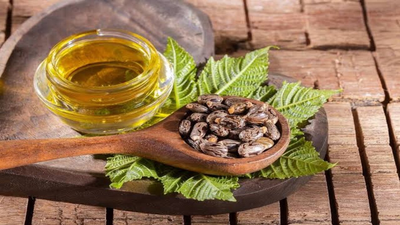 زيت الخروع للشعر