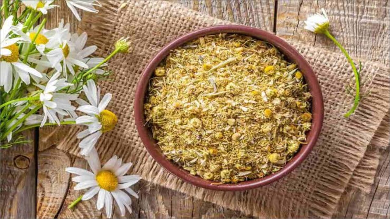 طريقة عمل البابونج للبشرة