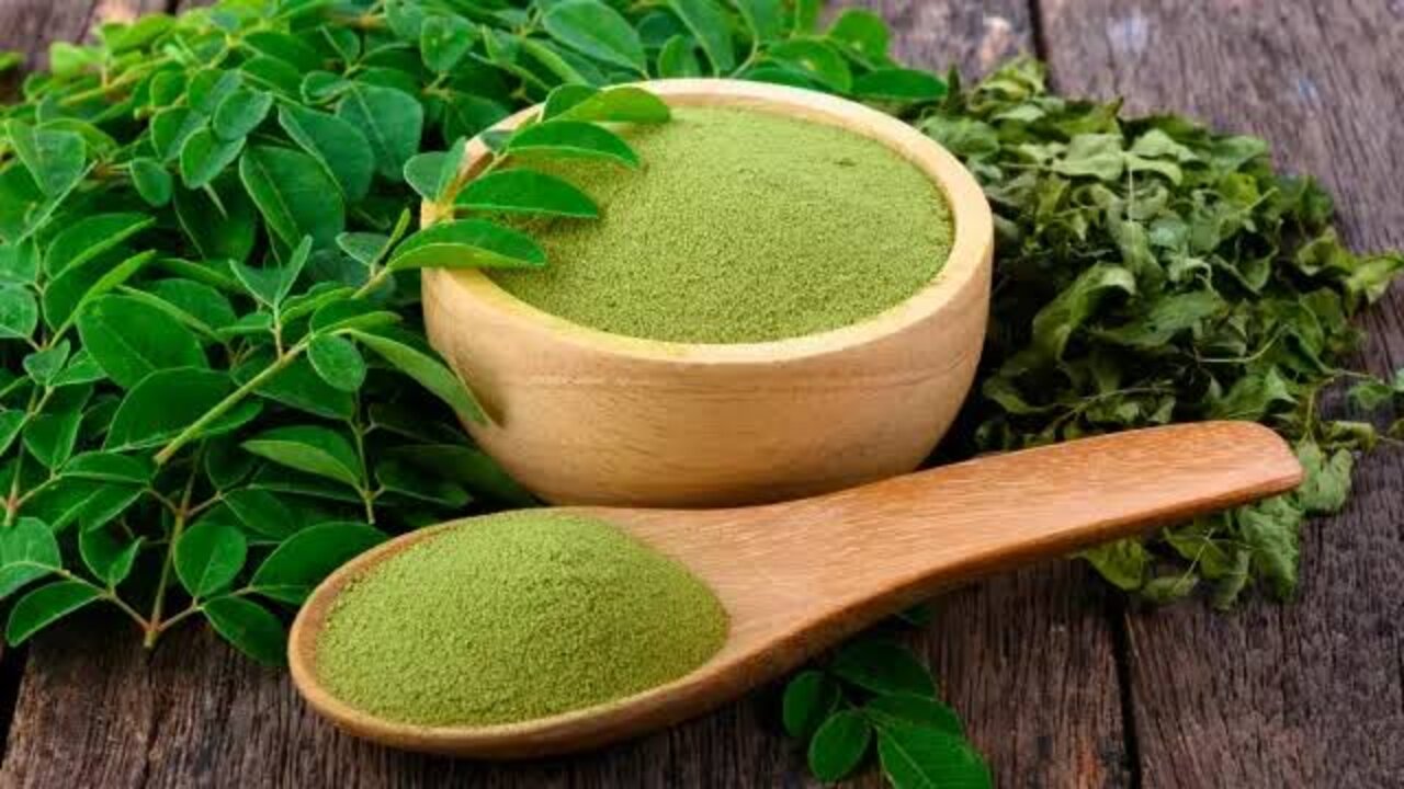 شاي المورينجا لتأخير الشيخوخة