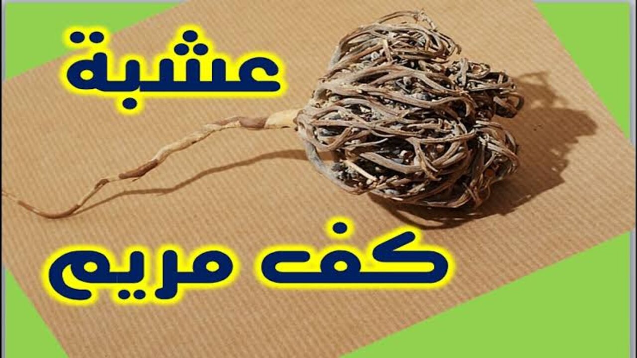 وصفة كف مريم للوجه